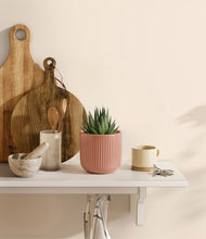 Load image into Gallery viewer, Striped Rose Pink