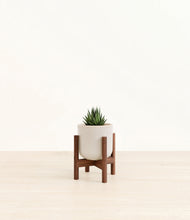 Load image into Gallery viewer, Snowdrift White stand:walnut