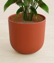 Load image into Gallery viewer, Earth Red stand:all