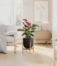 Load image into Gallery viewer, Stone Black stand:bamboo