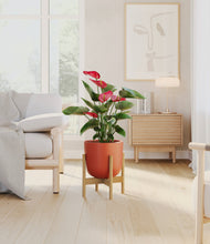 Load image into Gallery viewer, Earth Red stand:bamboo