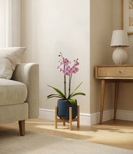 Load image into Gallery viewer, Deep Navy stand:bamboo