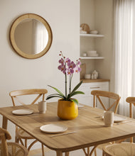 Load image into Gallery viewer, Mustard