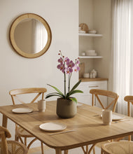 Load image into Gallery viewer, Olive