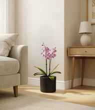 Load image into Gallery viewer, Black