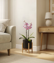 Load image into Gallery viewer, Black stand:bamboo