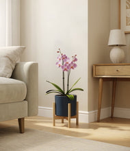 Load image into Gallery viewer, Deep Navy stand:bamboo