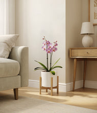Load image into Gallery viewer, White stand:bamboo