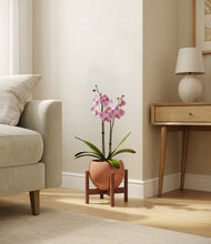 Load image into Gallery viewer, Calm Rose stand:walnut