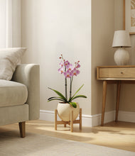 Load image into Gallery viewer, Shiny EggWhite stand:bamboo