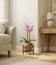 Load image into Gallery viewer, Desert Brown stand:walnut