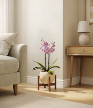 Load image into Gallery viewer, Shiny EggWhite stand:walnut