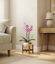 Load image into Gallery viewer, Shiny EggWhite stand:walnut