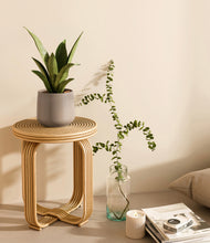 Load image into Gallery viewer, Eternal Gray