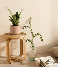 Load image into Gallery viewer, Gentle Pink