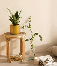 Load image into Gallery viewer, Mustard