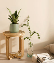 Load image into Gallery viewer, Turquoise