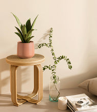 Load image into Gallery viewer, Calm Rose