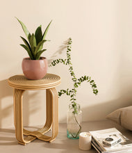 Load image into Gallery viewer, Calm Rose