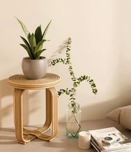 Load image into Gallery viewer, Desert Brown