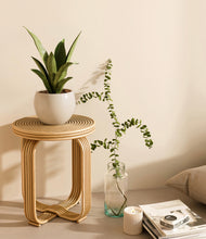 Load image into Gallery viewer, Shiny EggWhite