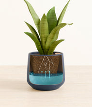 Load image into Gallery viewer, Deep Navy