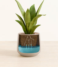 Load image into Gallery viewer, Eternal Gray