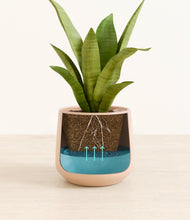 Load image into Gallery viewer, Gentle Pink