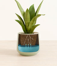 Load image into Gallery viewer, Turquoise