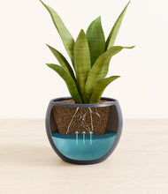 Load image into Gallery viewer, Deep Navy