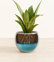 Load image into Gallery viewer, Deep Ocean