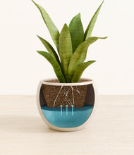 Load image into Gallery viewer, Shiny EggWhite