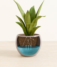 Load image into Gallery viewer, Winter Clouds