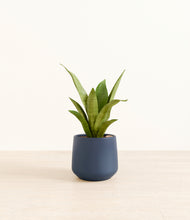 Load image into Gallery viewer, Deep Navy*****Profile