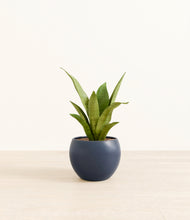 Load image into Gallery viewer, Deep Navy*****Profile