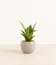 Load image into Gallery viewer, Desert Brown*****Profile