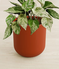 Load image into Gallery viewer, Earth Red stand:all