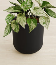 Load image into Gallery viewer, Stone Black stand:all