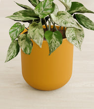 Load image into Gallery viewer, Sunset Orange stand:all