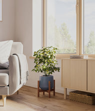 Load image into Gallery viewer, Deep Navy stand:walnut