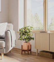 Load image into Gallery viewer, Calm Rose stand:walnut