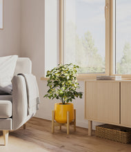 Load image into Gallery viewer, Mustard stand:bamboo