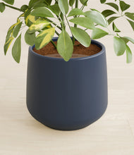 Load image into Gallery viewer, Deep Navy stand:all
