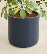 Load image into Gallery viewer, Deep Navy stand:all
