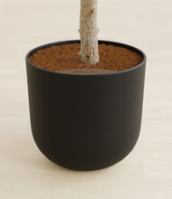 Load image into Gallery viewer, Stone Black