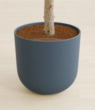 Load image into Gallery viewer, Iron Gray