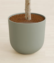 Load image into Gallery viewer, Sage Green