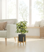 Load image into Gallery viewer, Dark Olive stand:bamboo