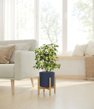 Load image into Gallery viewer, Deep Navy stand:bamboo