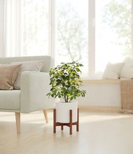 Load image into Gallery viewer, White stand:walnut
